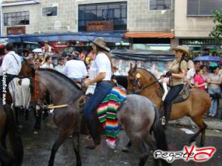 Foto 34 de Cabalgata 2009 - Feria Bucaramanga en Cabalgata 2009, Bucaramanga