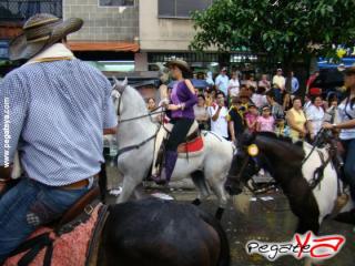 Foto 35 de Cabalgata 2009 - Feria Bucaramanga en Cabalgata 2009, Bucaramanga