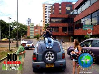 Foto 46 de No al Maltrato Animal en No al Maltrato Animal, Bucaramanga