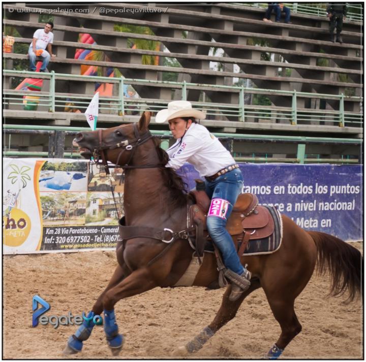 Foto 14 de MUNDIAL MUJER VAQUERA - Villavicencio en Mundial Mujer Vaquera, Villavicencio