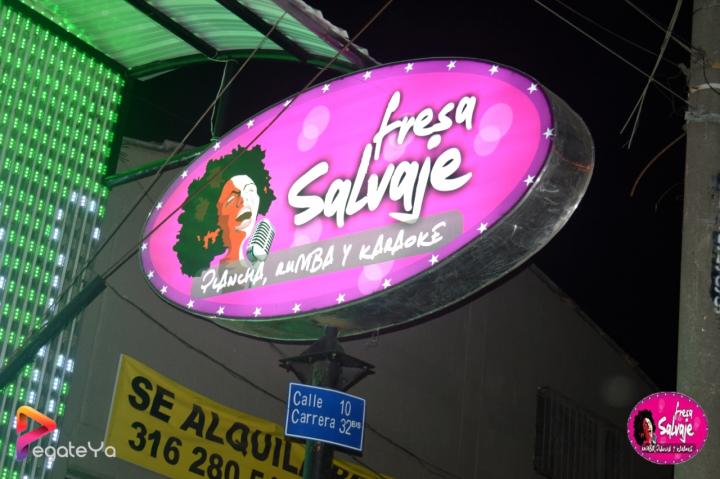 Foto 34 de Fresa Salvaje - 2do FDS Mayo 2015 en Fresa Salvaje, Cali