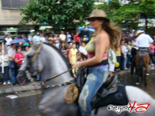 Foto 40 de Cabalgata 2009 - Feria Bucaramanga en Cabalgata 2009, Bucaramanga