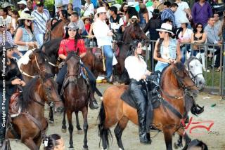 Foto 150 de Cabalgata Feria de Cali en Cabalgata Feria de Cali, Cali