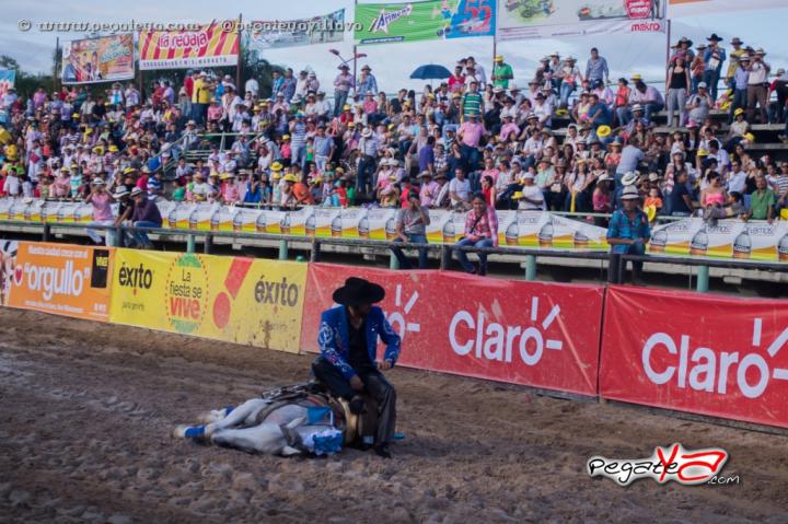 Foto 26 de 18 Mundial de Coleo en PegateYa Villavicencio, Villavicencio
