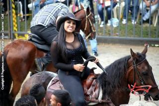 Foto 151 de Cabalgata Feria de Cali en Cabalgata Feria de Cali, Cali