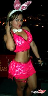 Foto 7 de Halloween 2012 en La Maldita Primavera Cali, Cali
