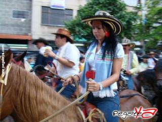 Foto 30 de Cabalgata 2009 - Feria Bucaramanga en Cabalgata 2009, Bucaramanga