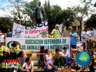 Foto 44 de No al Maltrato Animal en No al Maltrato Animal, Bucaramanga