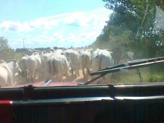 Foto 3 de El Llano en El Llano