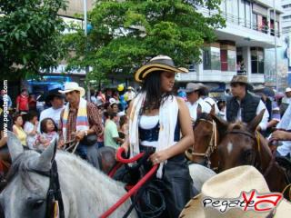 Foto 16 de Cabalgata 2009 - Feria Bucaramanga en Cabalgata 2009, Bucaramanga