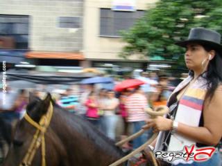 Foto 26 de Cabalgata 2009 - Feria Bucaramanga en Cabalgata 2009, Bucaramanga