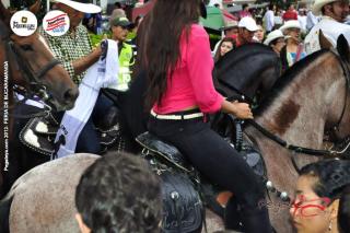 Foto 276 de Cabalgata Feria de Bucaramanga 2012 en Cabalgata Feria de Bucaramanga 2012, Bucaramanga