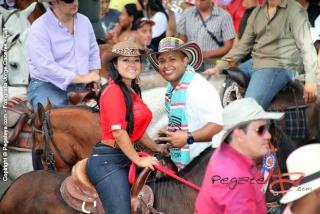 Foto 156 de Cabalgata Feria de Cali en Cabalgata Feria de Cali, Cali