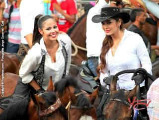 Foto 157 de Cabalgata Feria de Cali en Cabalgata Feria de Cali, Cali