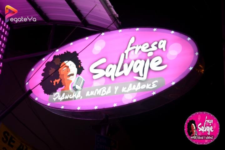 Foto 10 de Fresa Salvaje - 3er FDS Mayo 2015 en Fresa Salvaje, Cali