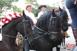 Foto 104 de Cabalgata 2010 - Feria Bucaramanga en Cabalgata 2010, Bucaramanga
