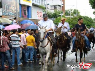 Foto 6 de Cabalgata 2009 - Feria Bucaramanga en Cabalgata 2009, Bucaramanga