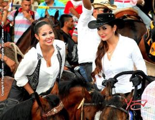 Foto 160 de Cabalgata Feria de Cali en Cabalgata Feria de Cali, Cali