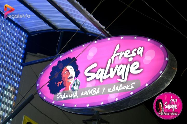 Foto 13 de Fresa Salvaje - 3er FDS Mayo 2015 en Fresa Salvaje, Cali