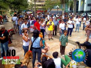 Foto 30 de No al Maltrato Animal en No al Maltrato Animal, Bucaramanga