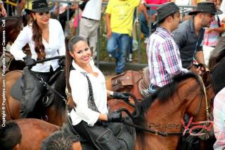 Foto 163 de Cabalgata Feria de Cali en Cabalgata Feria de Cali, Cali