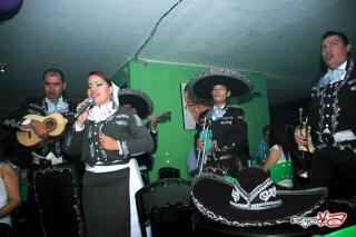 Foto 49 de Mamabicho - Feria de Cali 2013 en Mama Bicho