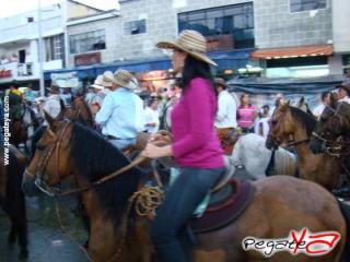 Foto 67 de Cabalgata 2009 - Feria Bucaramanga en Cabalgata 2009, Bucaramanga
