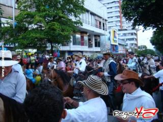 Foto 76 de Cabalgata 2009 - Feria Bucaramanga en Cabalgata 2009, Bucaramanga