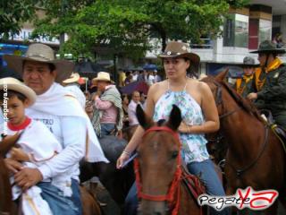Foto 20 de Cabalgata 2009 - Feria Bucaramanga en Cabalgata 2009, Bucaramanga