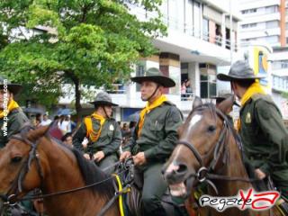 Foto 21 de Cabalgata 2009 - Feria Bucaramanga en Cabalgata 2009, Bucaramanga