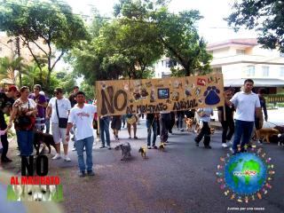 Foto 54 de No al Maltrato Animal en No al Maltrato Animal, Bucaramanga