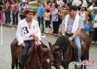 Foto 117 de Cabalgata 2010 - Feria Bucaramanga en Cabalgata 2010, Bucaramanga