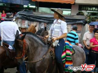 Foto 33 de Cabalgata 2009 - Feria Bucaramanga en Cabalgata 2009, Bucaramanga