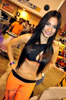 Foto 104 de Chicas Car Audio Bucaramanga 2013 en Chicas Car Audio Bucaramanga 2013, Bucaramanga
