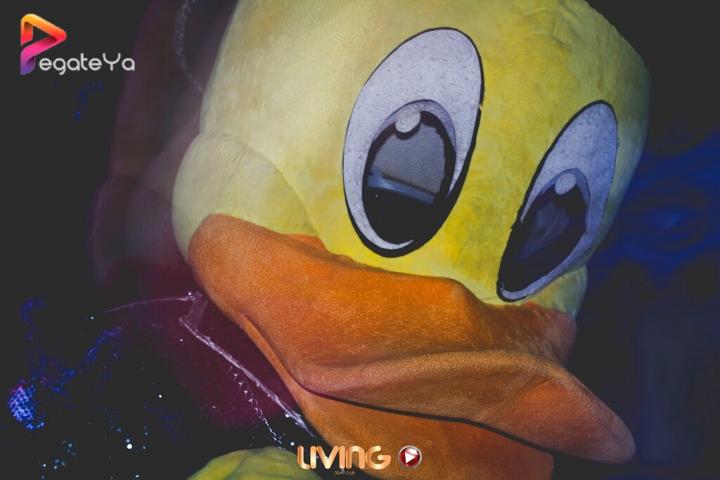 Foto 15 de living Night Club - 2DO Julio 2016 en Living Night Club, Cali