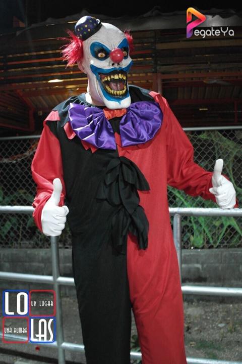 Foto 42 de Lolas Halloween 2015 en Lolas Club Menga Cali, Cali