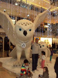Foto 168 de C F S P F T V ( Mias ) en C F S P F T V ( Mias