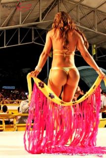 Foto 24 de Chicas Car Audio 2012 - Cenfer Bucaramanga en Chicas Car Audio 2012, Bucaramanga