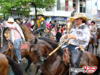 Foto 22 de Cabalgata 2009 - Feria Bucaramanga en Cabalgata 2009, Bucaramanga
