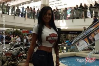 Foto 15 de Chicas Harley - CC el Tunal 18 Feb 2012 en Chicas Harley, Bogotá