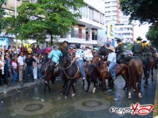 Foto 104 de Cabalgata 2009 - Feria Bucaramanga en Cabalgata 2009, Bucaramanga