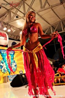 Foto 28 de Chicas Car Audio 2012 - Cenfer Bucaramanga en Chicas Car Audio 2012, Bucaramanga