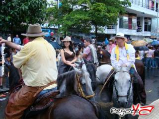 Foto 13 de Cabalgata 2009 - Feria Bucaramanga en Cabalgata 2009, Bucaramanga