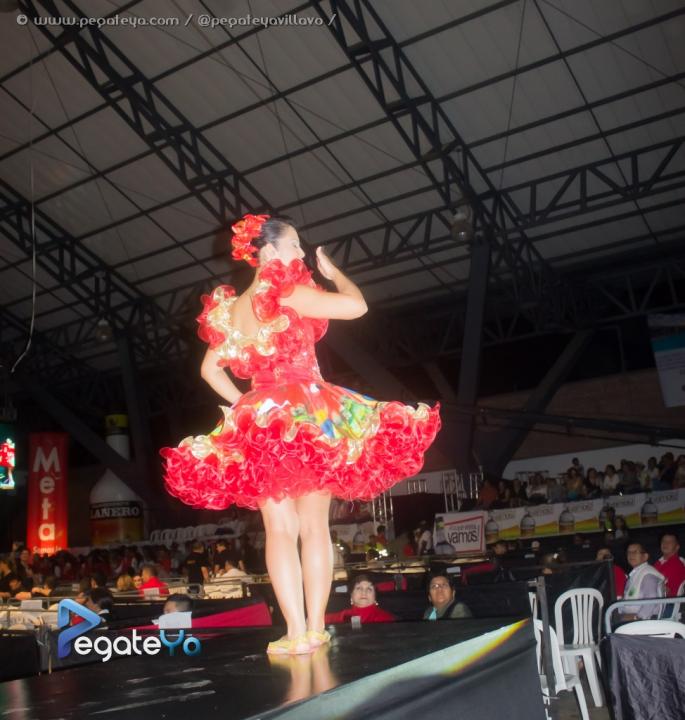 Foto 14 de Noches del Torneo Int del Joropo en Noches del Torneo Int del Joropo, Villavicencio