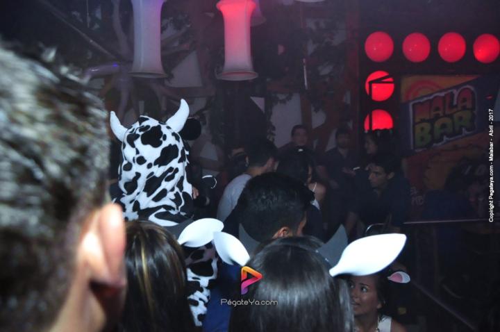 Foto 47 de Malabar - Sábado 15 de abril de 2017 en Fiestas Colombia, Medellín