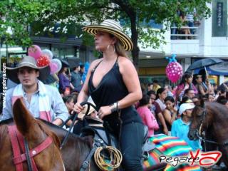 Foto 48 de Cabalgata 2009 - Feria Bucaramanga en Cabalgata 2009, Bucaramanga