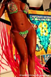 Foto 29 de Chicas Car Audio 2012 - Cenfer Bucaramanga en Chicas Car Audio 2012, Bucaramanga