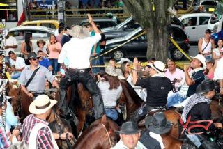 Foto 180 de Cabalgata Feria de Cali en Cabalgata Feria de Cali, Cali