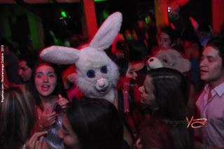 Foto 5 de Le Parc Halloween en Le Parc Bar Bucaramanga, Bucaramanga