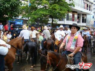 Foto 18 de Cabalgata 2009 - Feria Bucaramanga en Cabalgata 2009, Bucaramanga